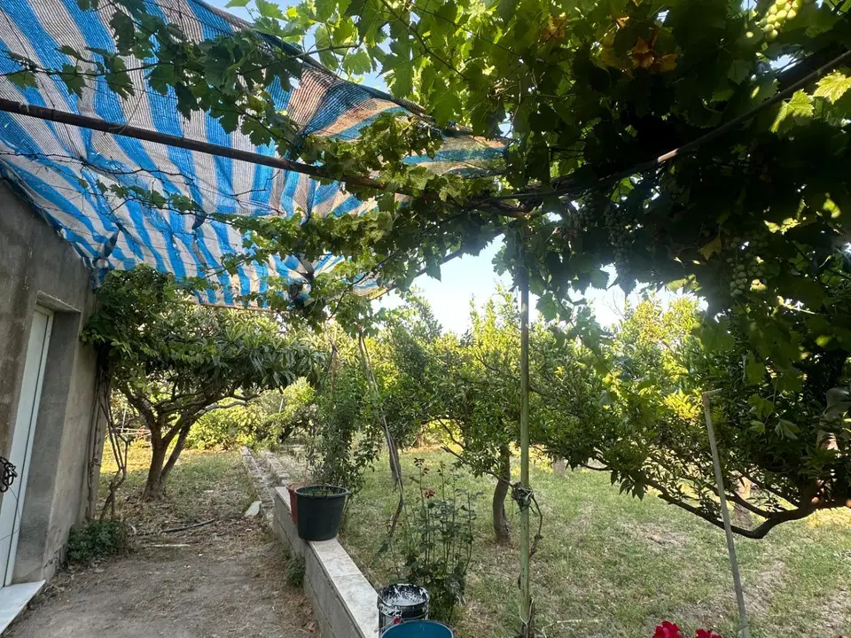 Cortijo in Olula Del Rio, Almeria province photo 4