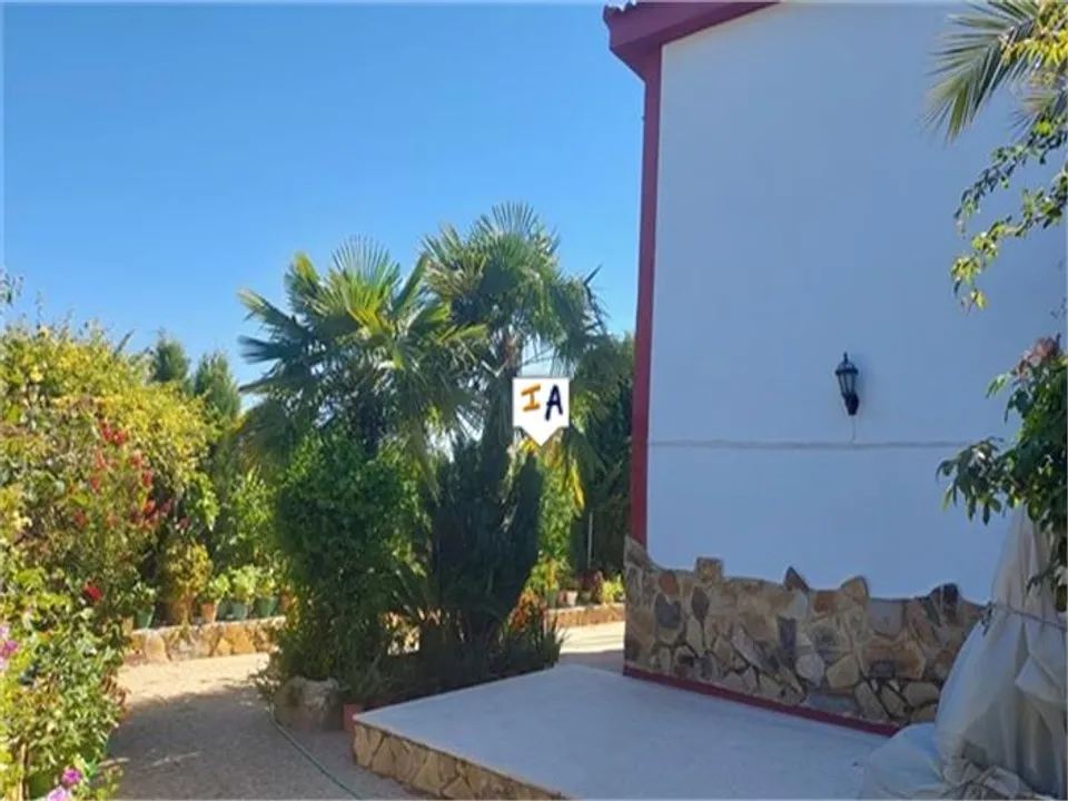 Inland Andalucia photo 3