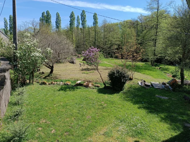 A Rare Property Situated on the Riverbank in a Preserved Green Natural Setting. photo 5