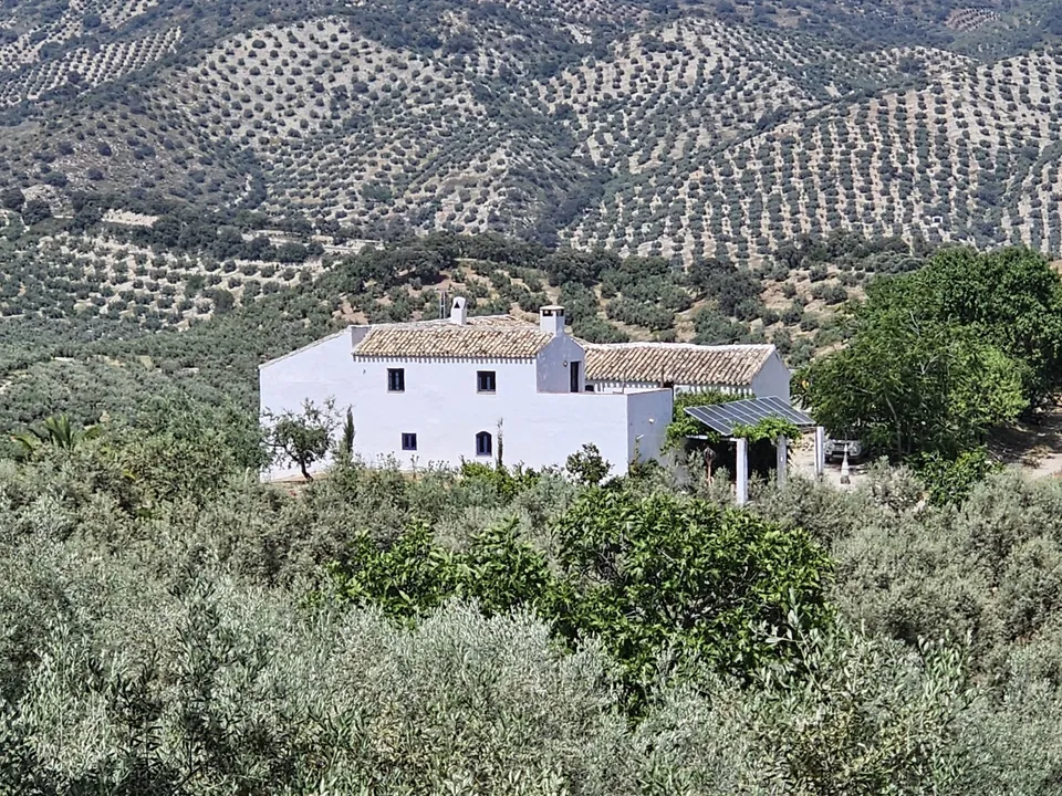 La Casa Andaluz