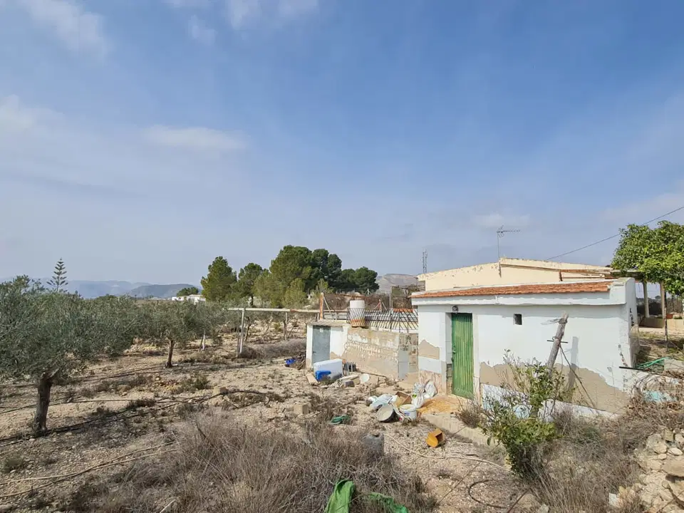 Finca in La Romana, Alicante province