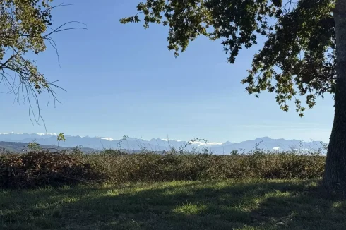 A Gorgeous Country House with Mountain Views photo 3