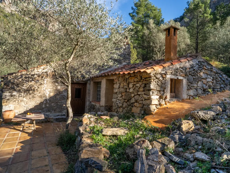 MAS CATALAN RURAL PROPERTIES S.L.U. photo 3