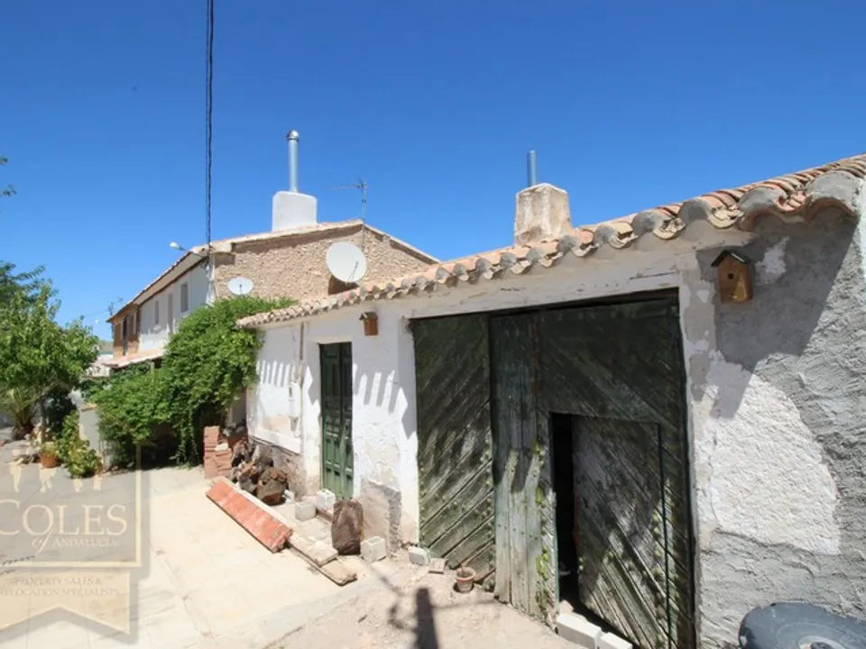 Coles Of Andalucia photo 4
