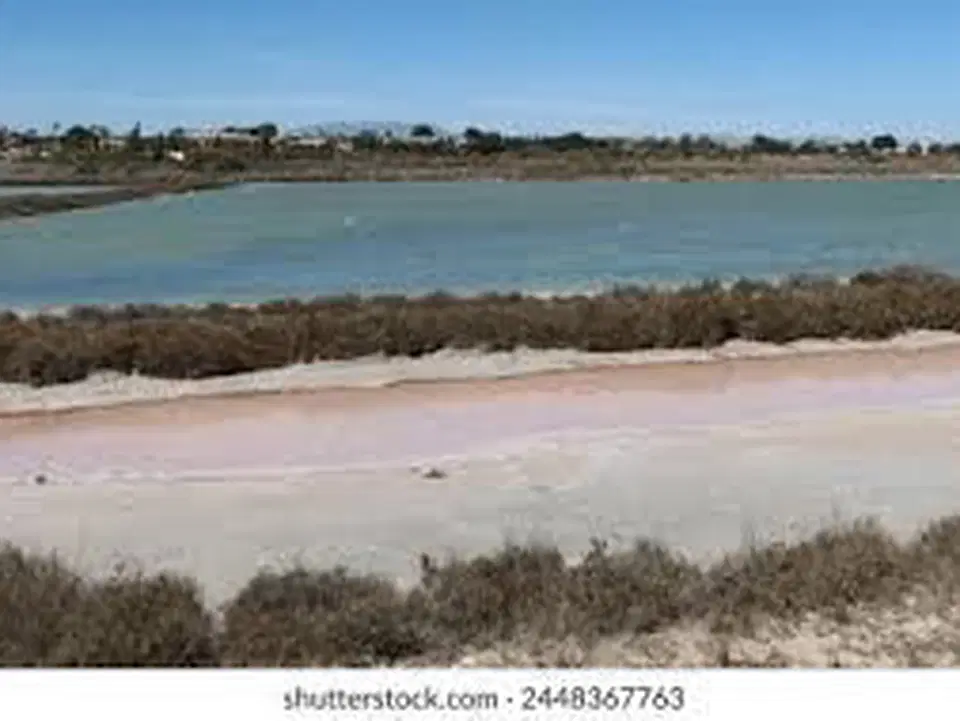 Marina Properties photo 5