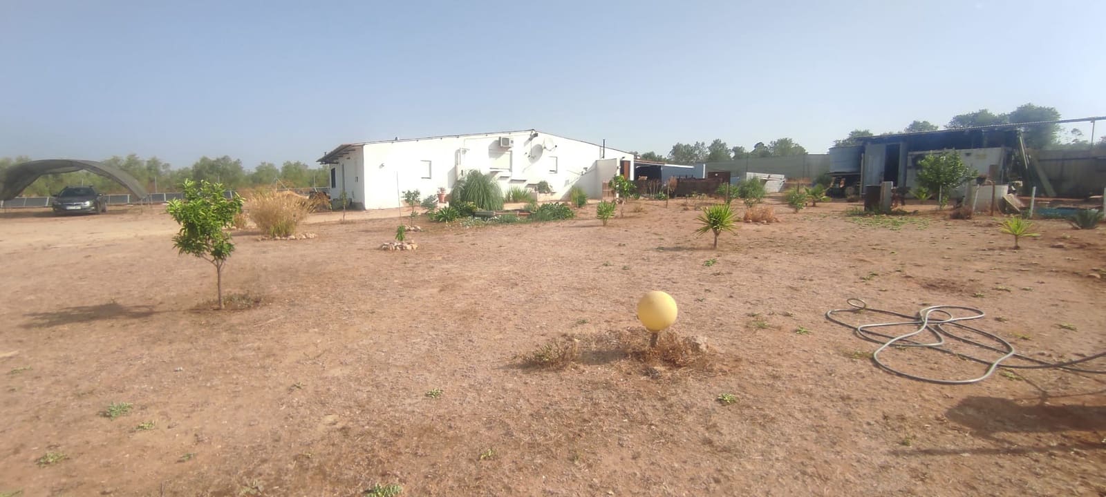 Finca/Country House for sale in Beas, Huelva photo 3