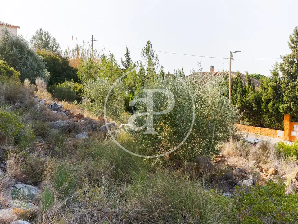 aProperties Real Estate Valencia
