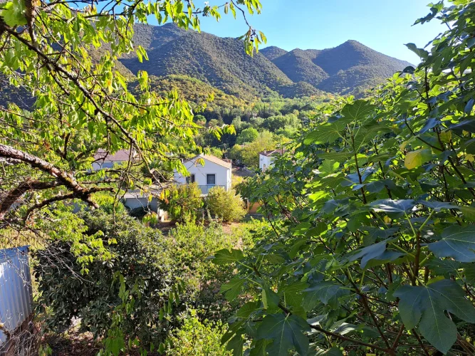 House with Landscaped Garden, Unobstructed View