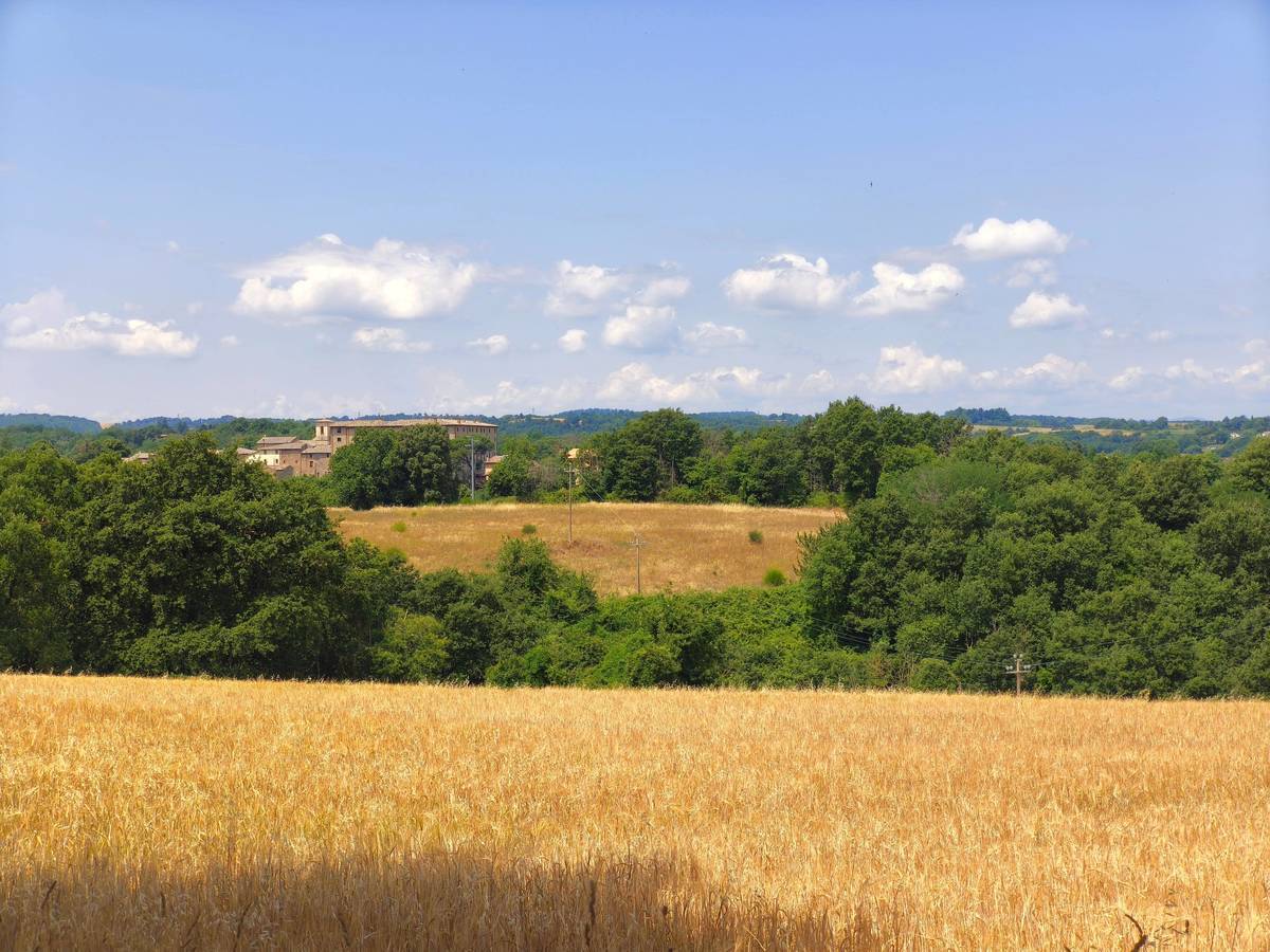 2 bedrooms country house, 100 m² Orvieto, Terni (province) photo 5