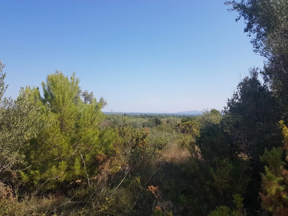 Country house in Sant Jordi, Castellon photo 4