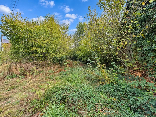 Haute Vienne - Fabulous Renovation Project at a Bargain Price photo 3