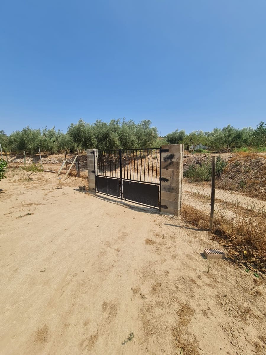 Finca/Country House for sale in Riba-roja d'Ebre, Tarragona photo 5