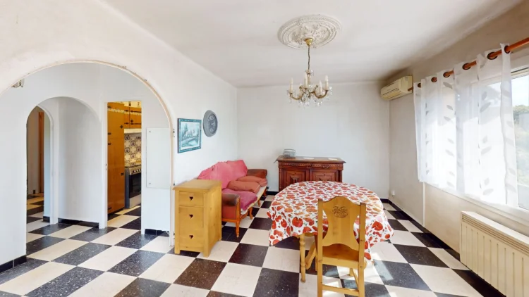 Spacious House in Need of Renovation
