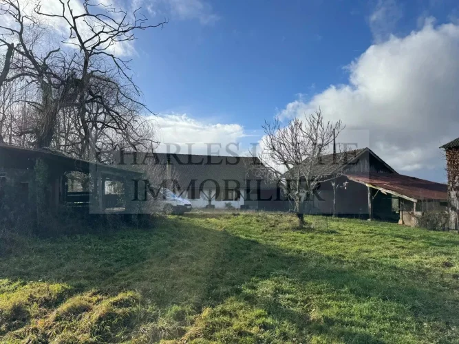 Former Farmhouse on 6 ha of Land photo 5