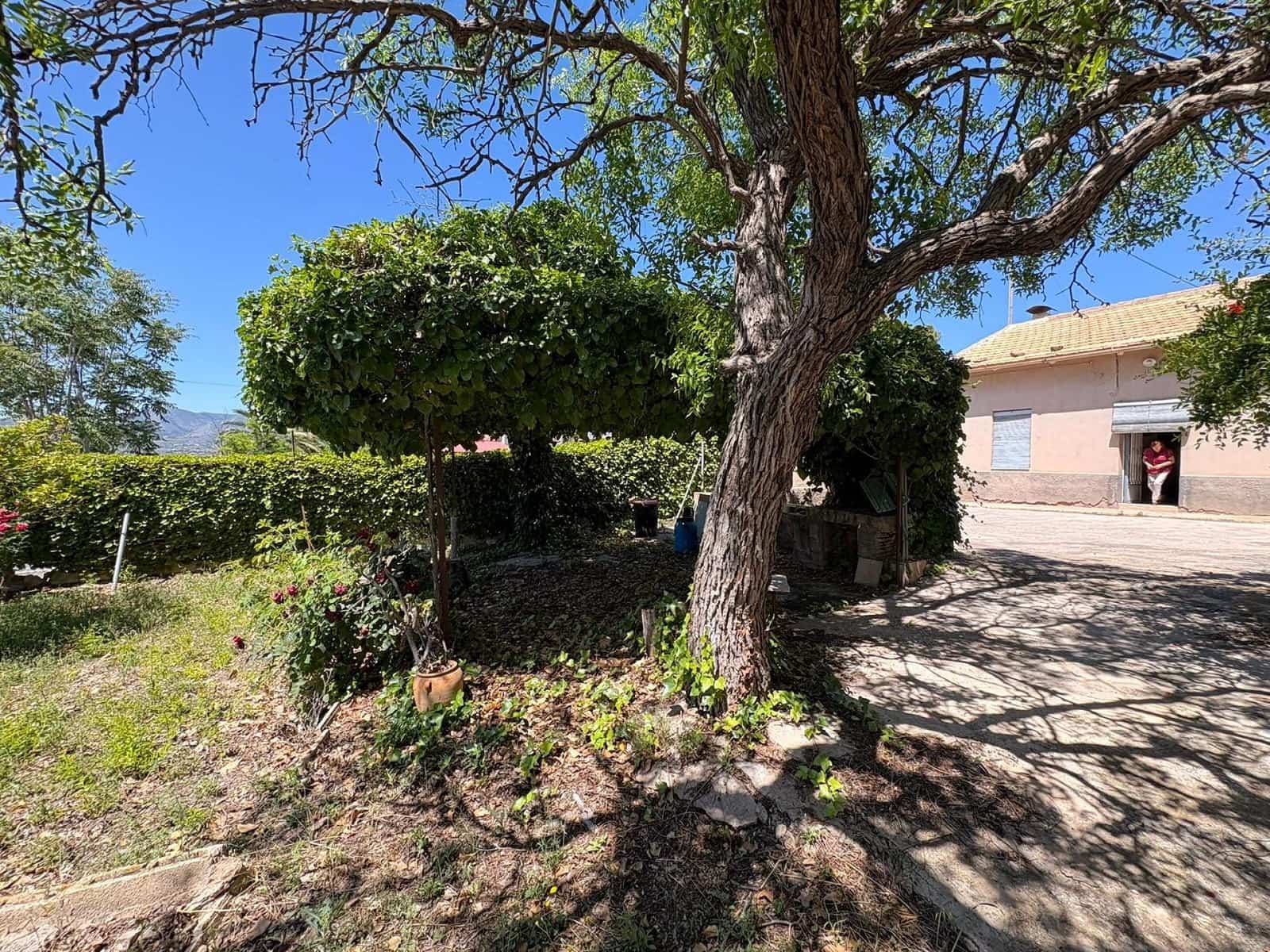 Finca/Country House for sale in La Romana, Alicante photo 2