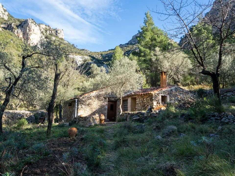 MAS CATALAN RURAL PROPERTIES S.L.U. photo 4