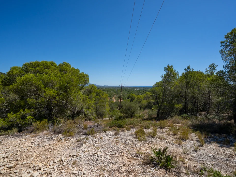 MAS CATALAN RURAL PROPERTIES S.L.U.