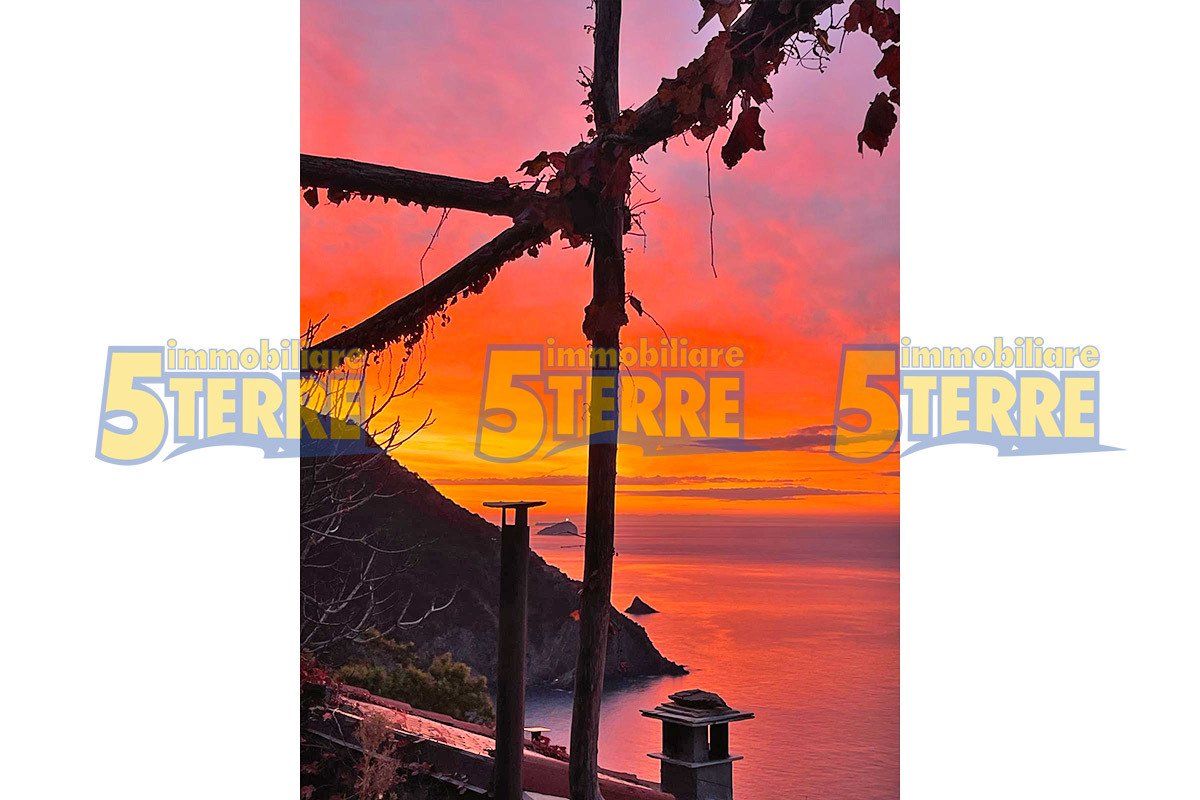 Property in Riomaggiore photo 4