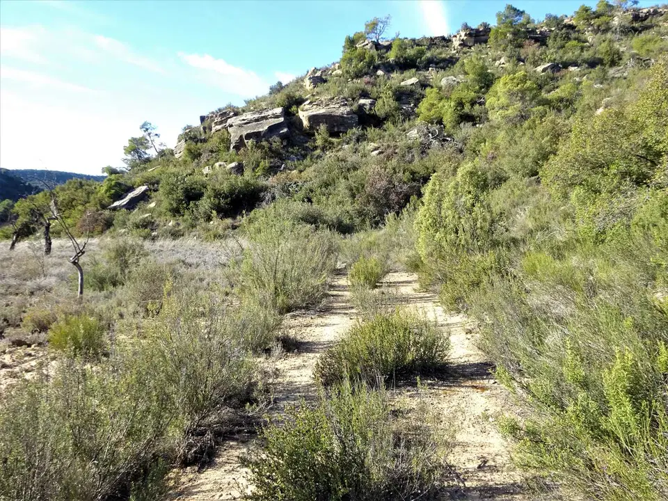 Finca in Maella, Zaragoza province photo 5