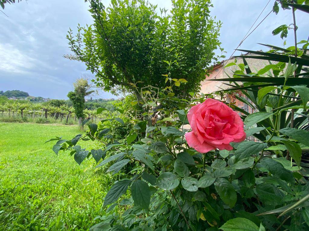 1 bedroom detached house, 97 m² Vacri, Chieti (province) photo 4