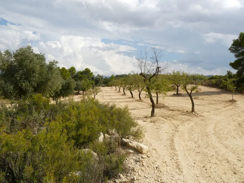 Finca in Calaceite, Teruel province