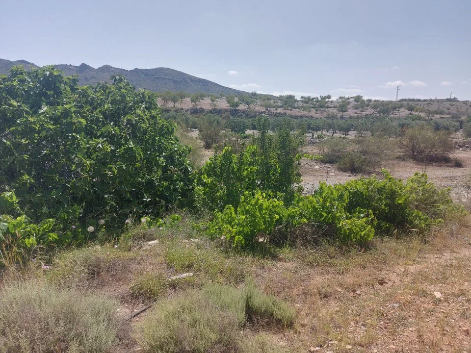 Cortijos Almeria