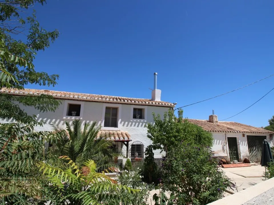 Coles Of Andalucia