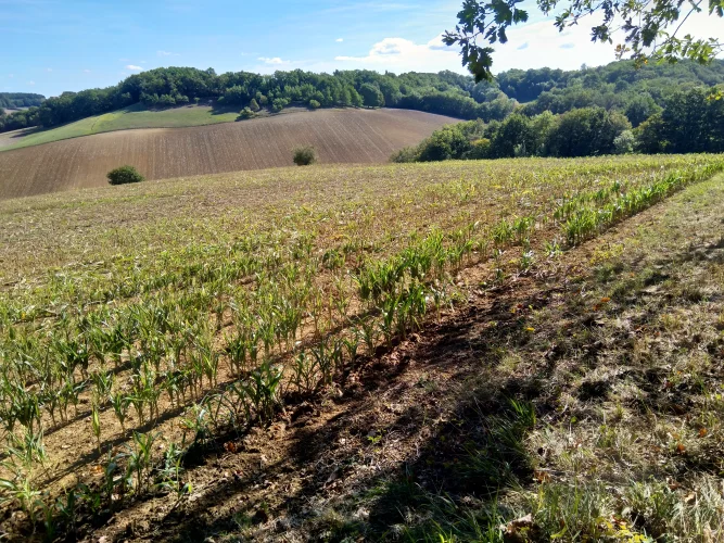 Cottage with Very Large Barn in Rural Area with Far Reaching Views. Smallholding Potential. photo 3