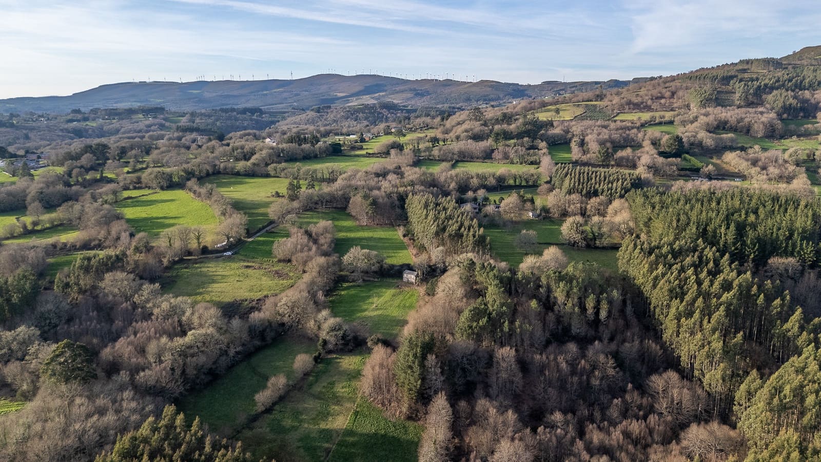 Finca/Country House for sale in Vilalba, Lugo photo 3
