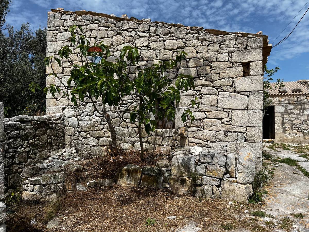Property in Ragusa photo 3