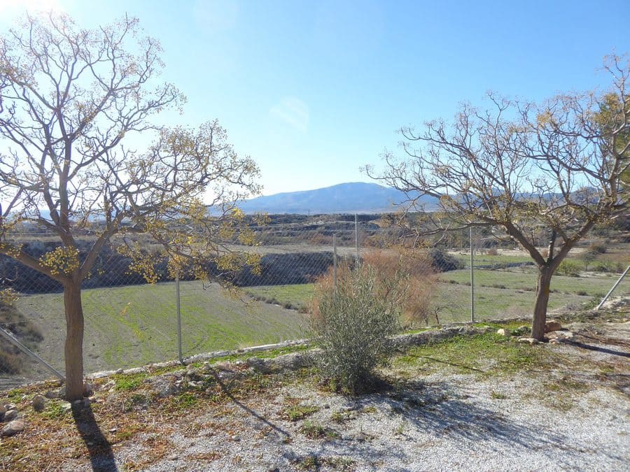 Cave House for sale in Baza, Granada photo 4