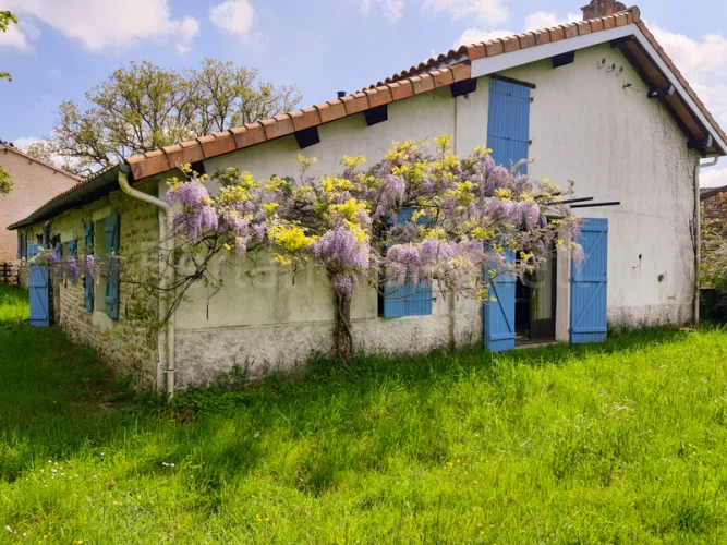 Charming Renovated Longère with Possibility of Gite, Outbuil