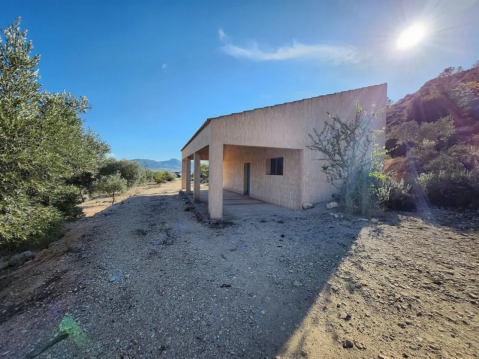 Alicante Dream Property 
