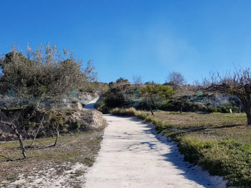 Dream'n Blue Properties photo 3