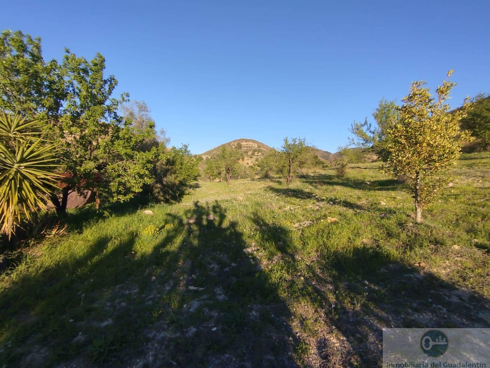 Villa for sale in Lorca, Murcia