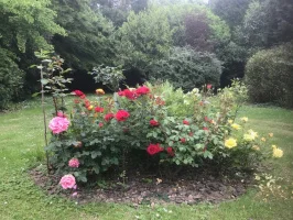 Very Nice F3 Apartment with Magnificent View on a Pretty Park in