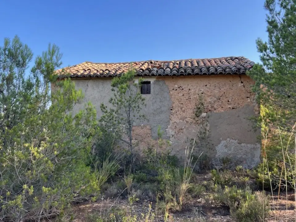 IMMO Abroad Real Estate photo 5