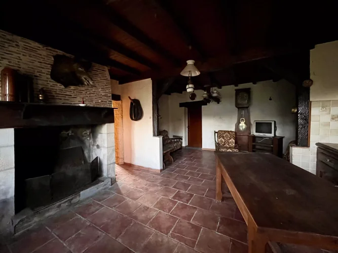 Renovation Project with Land photo 3