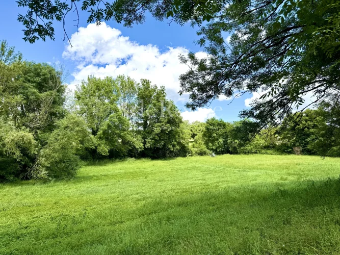 A 3 Bed Main Property Plus a 3 Bed Gite Set in just under 1Hectare of Grounds photo 4
